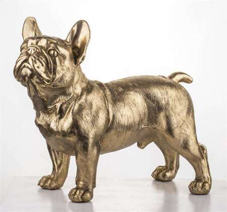 Figurka Buldog złoty H: 31 cm