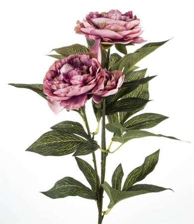 Pl Piwonia tworzywo sztuczne kolor różowy wys.68cm