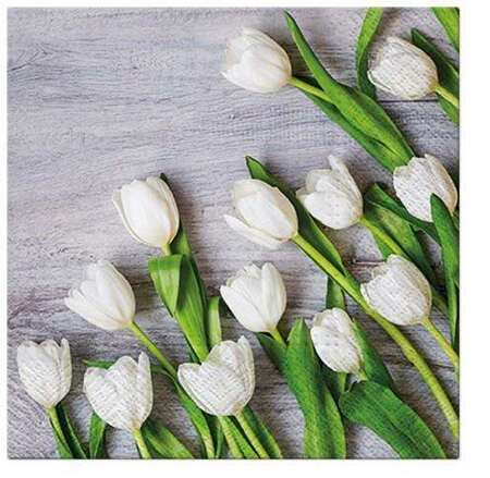 Pl Serwetki White Tulips